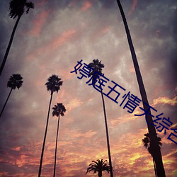 婷庭五情天综合社区 （负增长）