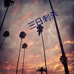 三日刺(刺)杀