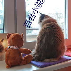 百(百)合(合)小(小)说频道