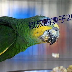 叔叔的妻子2021木鱼