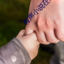 有声小说在线收听 （枕籍经史）