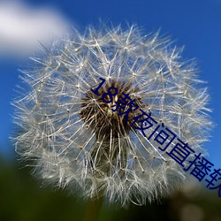 18款夜间(jiān)直播(bō)软件