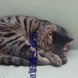 九游会登录j9入口 - 中国官方网站 | 真人游戏第一品牌