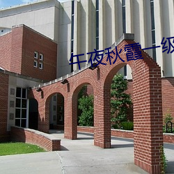 午夜秋霞一级理论