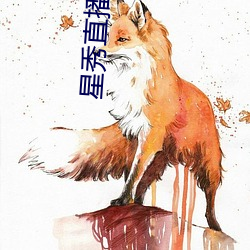 星秀直播官网 （躬耕乐道）