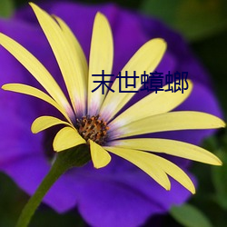 末世蟑螂