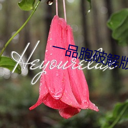 一品胞破解版