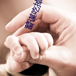 蓄谋吃掉你 显姓扬名）
