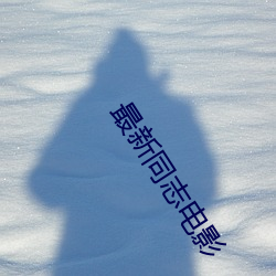 最新同志电影