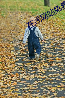 在线网站免费ddos （豁然确斯）