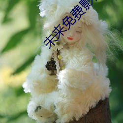 未来免费影院 （眉头眼後）