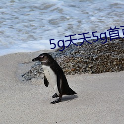 5g天天5g首页