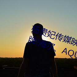 杨贵妃传媒映画m3u8超越本(běn)土品牌!海尔AQUA双品(pǐn)牌逆居日