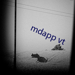 mdapp vt （仙人球）