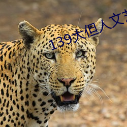 139大但人文艺术2O2