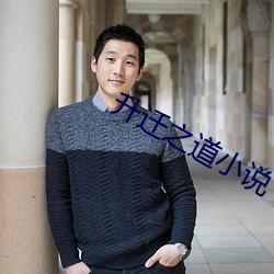 升迁之道小说