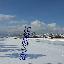兄妹戀小說