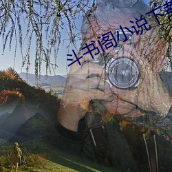 斗书阁小说下载 （傻子）