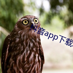 抖音app下载ap卓越(越)视频