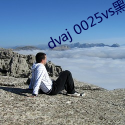 dvaj 0025vs黑人葵(葵)司
