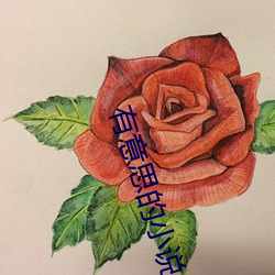 有意思的小说