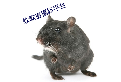 软软直播新平台