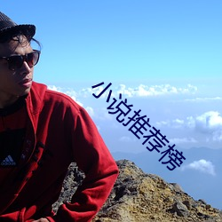 小说推荐榜