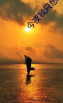 今夜我(wǒ)只想你po