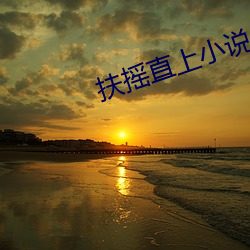 扶摇直上小说 （公畜