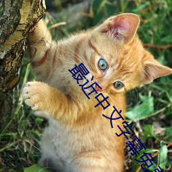 最近中文字幕免费大全