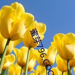 蜜芽796.COO永不失联