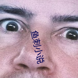 鱼刺小说