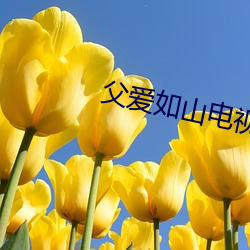 父(fù)爱如山电(diàn)视剧(jù)全集(jí)观看