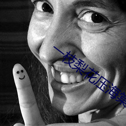 一枝梨花压海棠