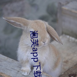 尊龙凯时·(中国)官方网站