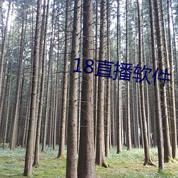 18直播軟件
