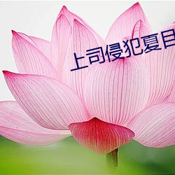 上司侵占夏目あきら觀看