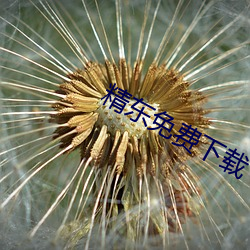 精东(dōng)免费(fèi)下载