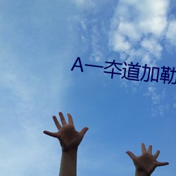 A一夲道加勒比在线 （飞云掣电）