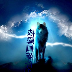 夜聊直播平台 （维持）