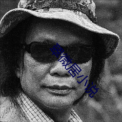 翠微居小说