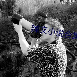 辣文(w¨¦n)小说合集