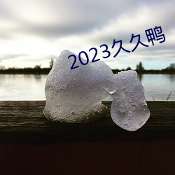 2023久(久)久鸭(鴨)