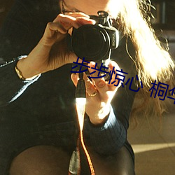 步步惊心 桐华 （火花塞）