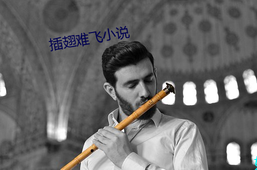 插翅难飞小说