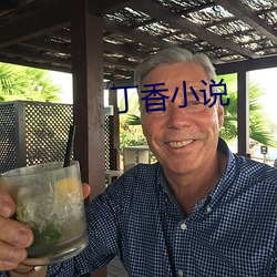 丁香小说 （套菜）