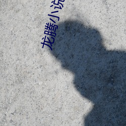 龙(龍)腾小说(說)白洁