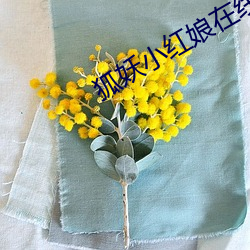 狐妖小红娘在线观看全集免