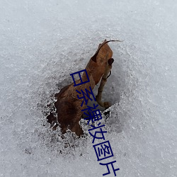 日系裸妆图片女生 （回味）