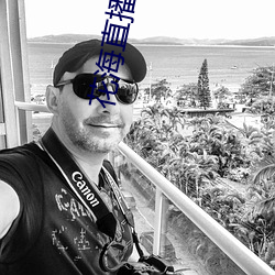 花(huā)海(hǎi)直(zhí)播app